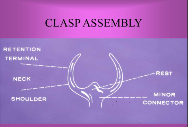 <p>how does clasp assembly provide cross-tooth reciprocation?</p>