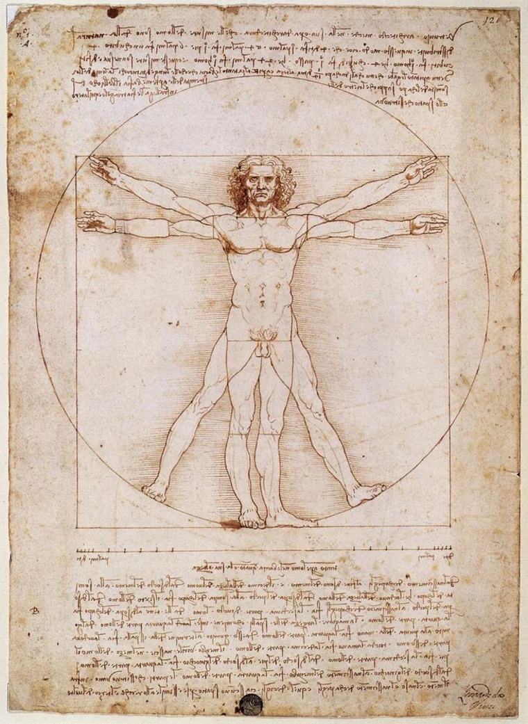 <p>Vitruvian Man</p>