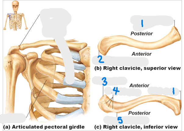 <p>What is #2&3?</p>