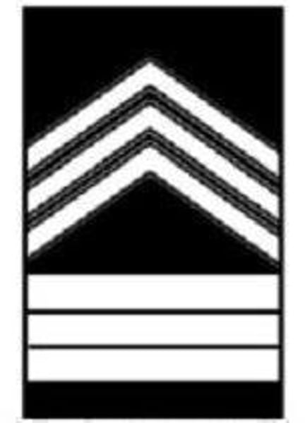 <p>3 Chevrons 3 Bars</p>