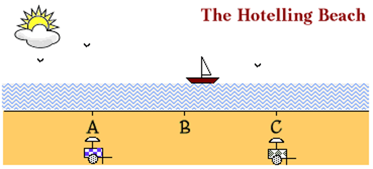 <p>Hotelling's theory asserts that an industry's locational choices are heavily influenced by the location of their chief competitors and related industries. In other words, industries do not make isolated decisions on locations without considering where other, related industries exist.</p><p>location of an industry cannot be understood without reference to other industries of the same kind.</p>