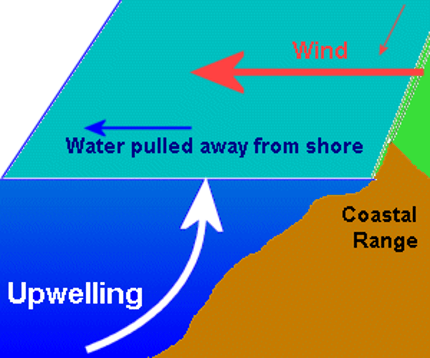 <p>- transport of deep ocean water to the surface</p><p>- occurs when water is blown away from shore</p><p>- cold, nutrient-filled water brought up</p>