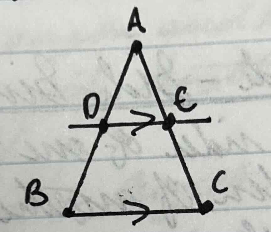 <p>If a line parallel to a side of a triangle intersects the other two sides, then it divides those sides proportionally.</p>