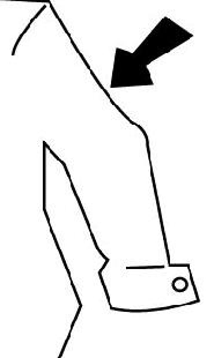 <p>sleeves</p>