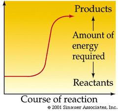 net input of bond energy