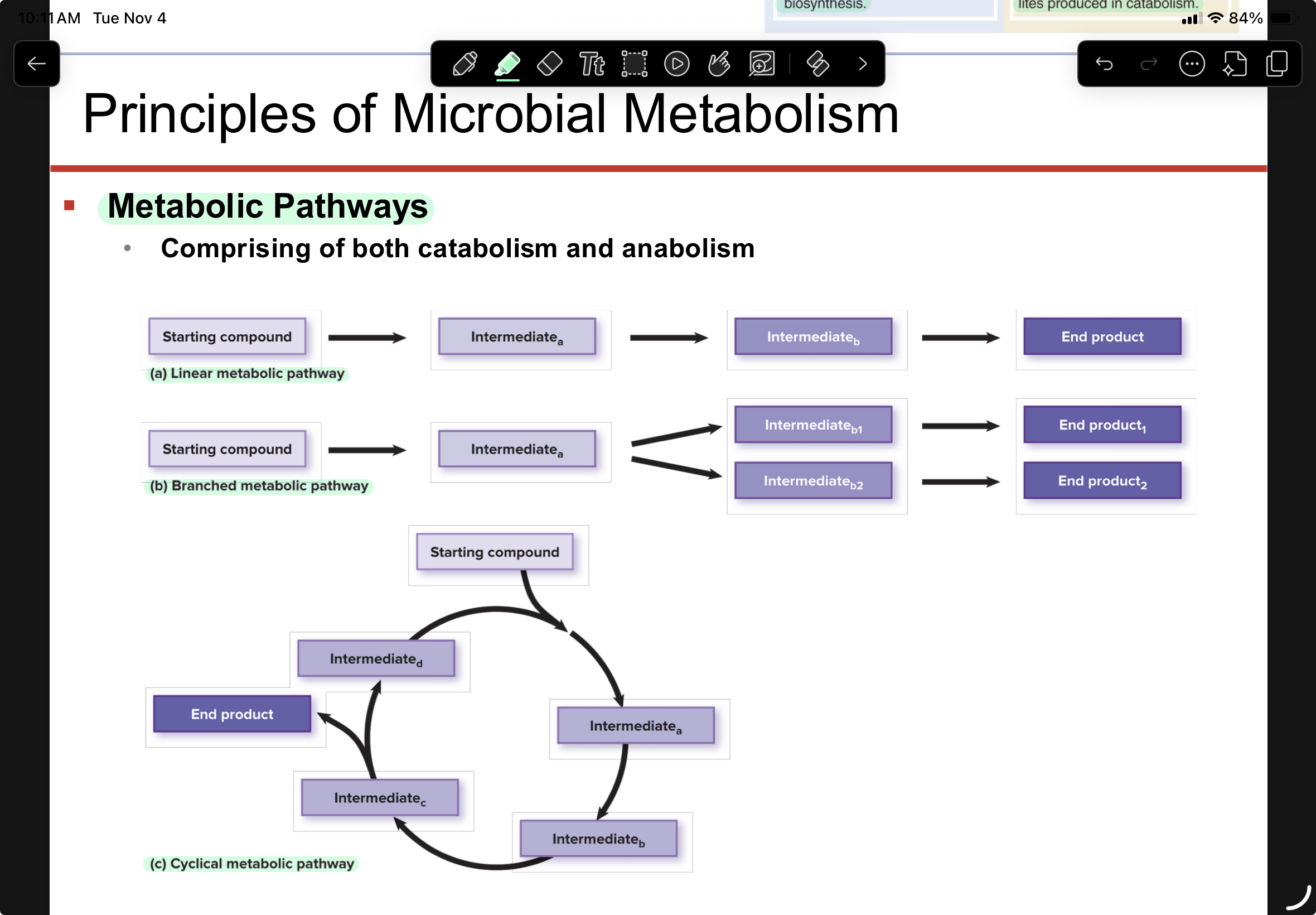 knowt flashcard image