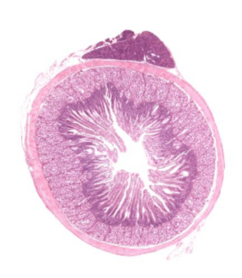 <p>What is this?</p>