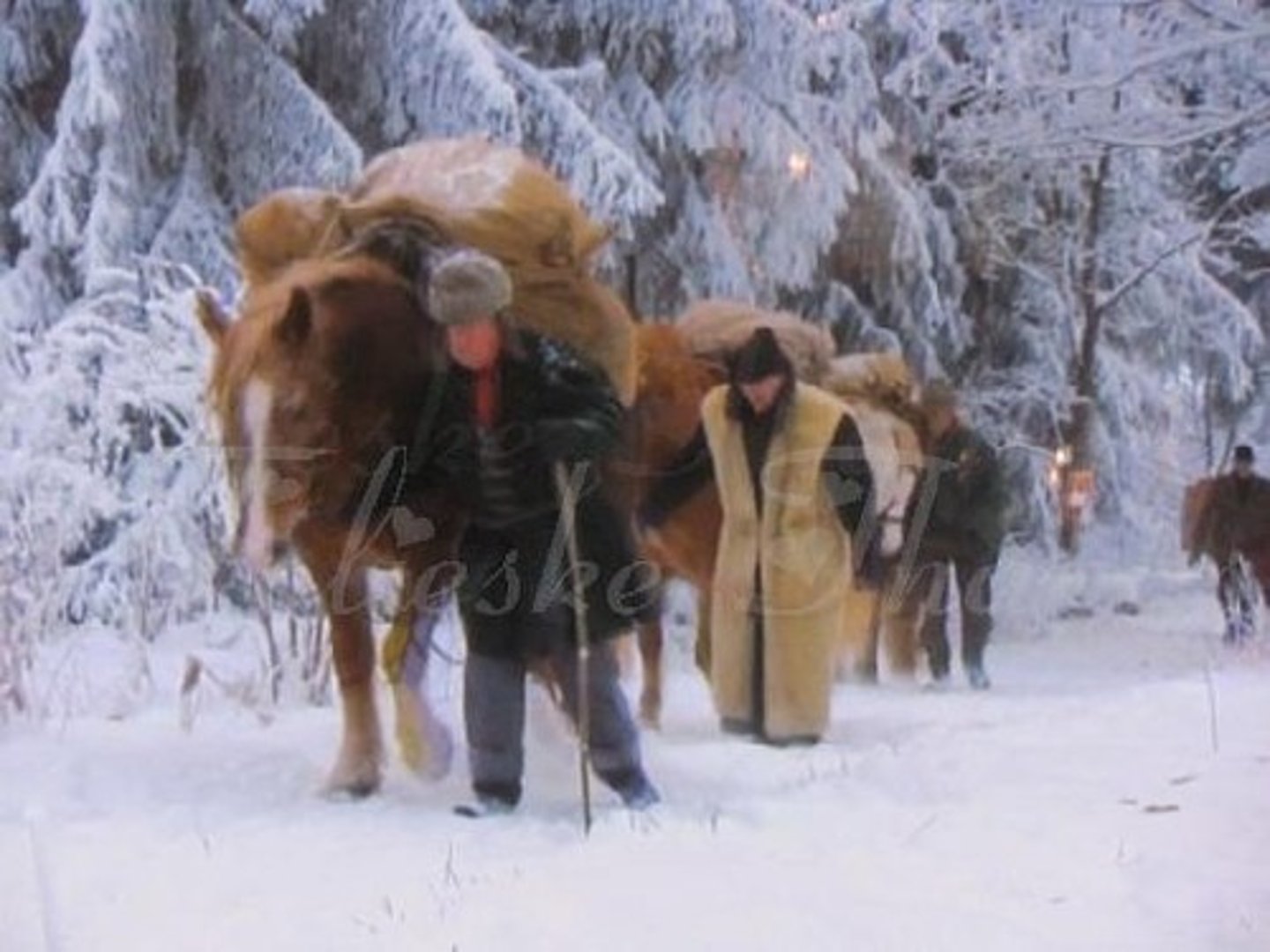 <p>/hɑːʃ/ tính từ</p><p>khắc nghiệt, thô lỗ</p><p>harsh conditions</p><p>The harsh winter caused many problems for the city.</p><p>severe, rough</p><p>harshness</p>