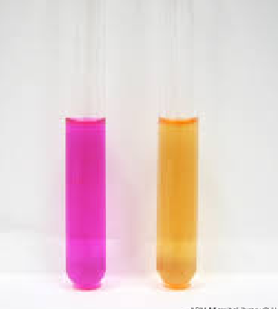 <p>Differentiates organisms capable of hydrolyzing urea</p><p><span>a pink (or fuchsia/red) color indicates a positive result (urease present), while a yellow color indicates a negative result (urease absent)</span></p>
