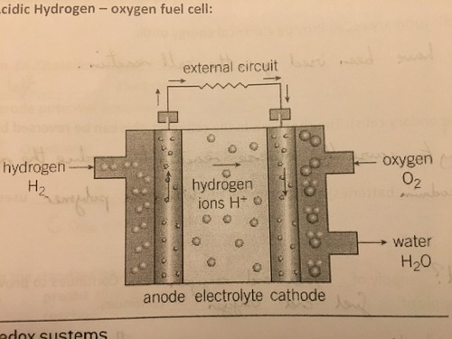 knowt flashcard image