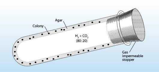 <p>Roll tube</p>