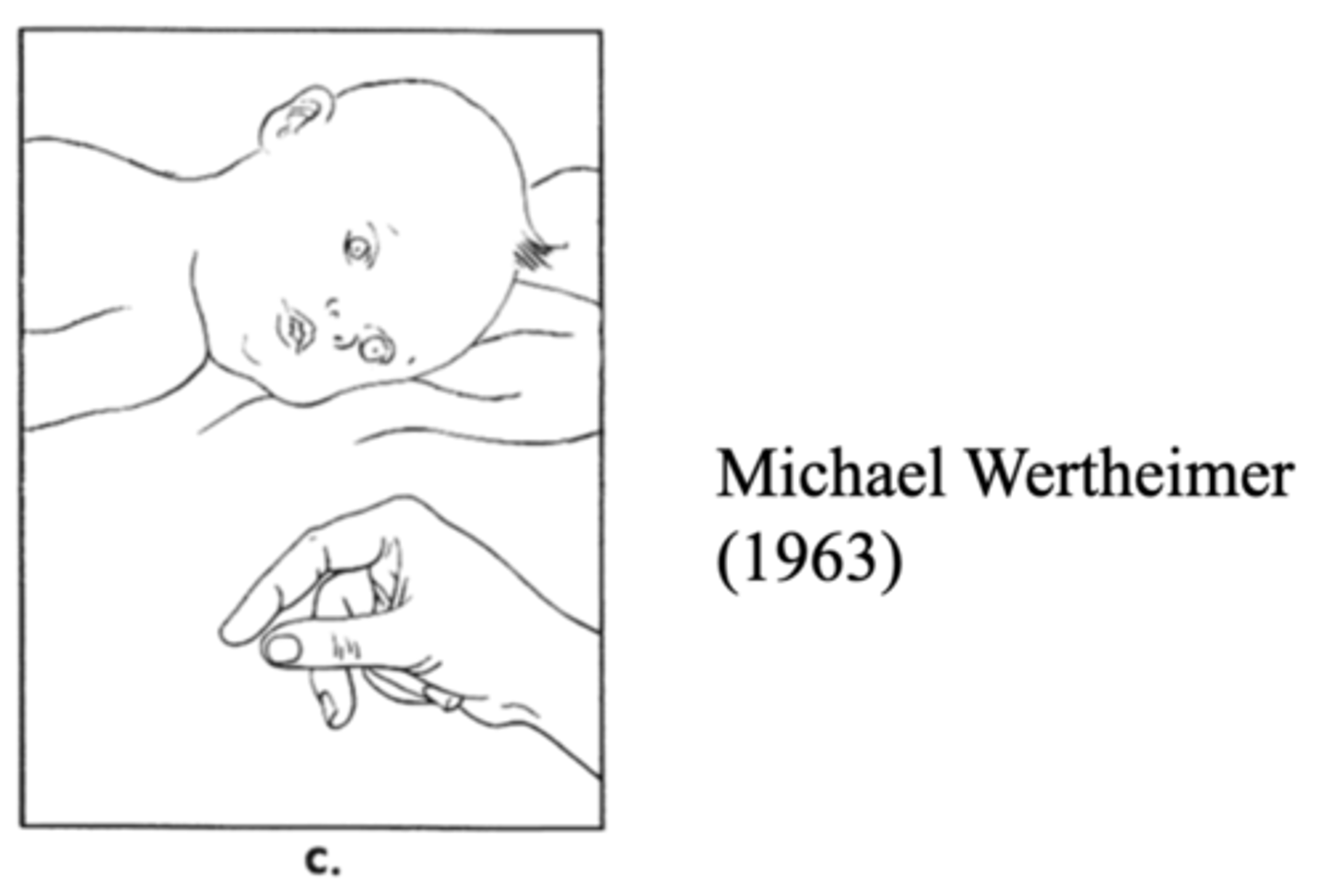 <p>Visual, auditory, and motor spaces are present and coordinated at birth</p>