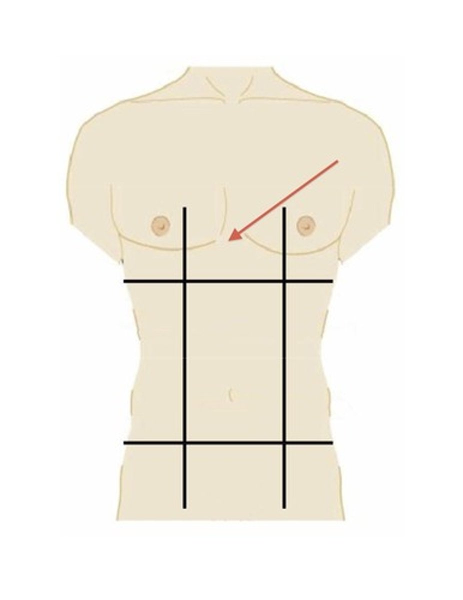 <p>located between the right and left hypochondriac region in the upper section of the abdomen</p>
