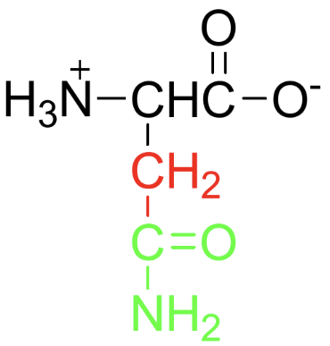<p>Name, Type (A/N/B), Polarity</p>