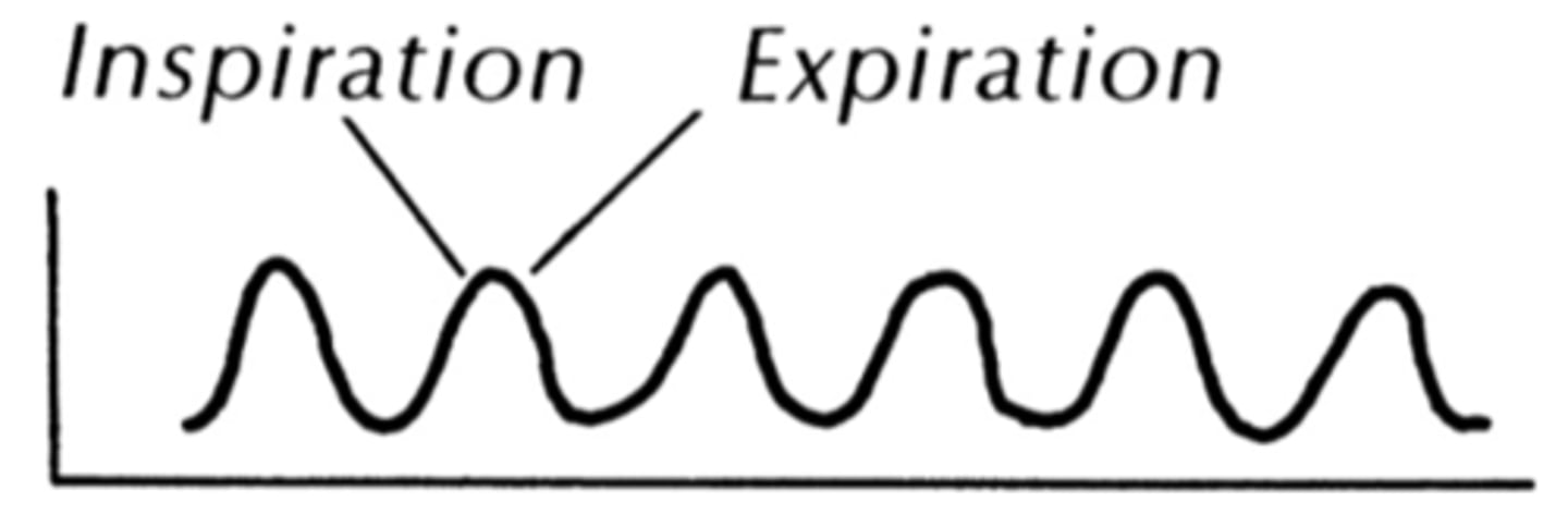 <p>number of breaths per minute</p>