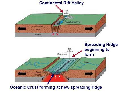 <p>an area where the earth’s crust is splitting apart</p>