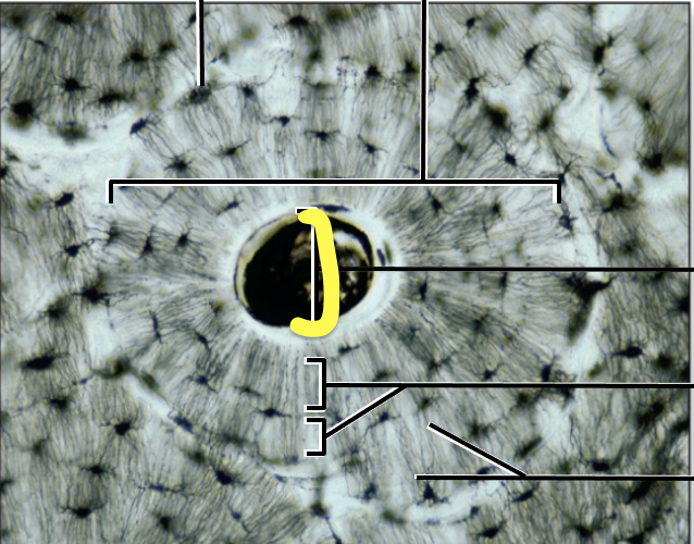 <p>What is the yellow line pointing to?</p>