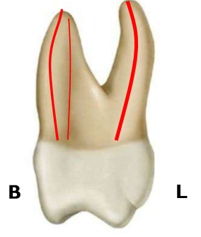 <p>faciolinugally</p>