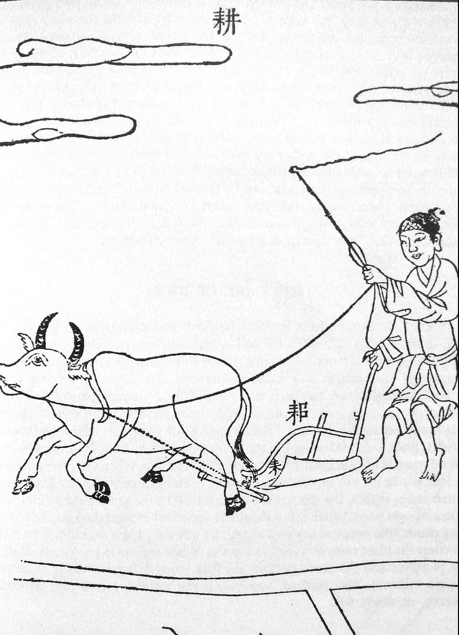 <p>animal draw plow with moldboard</p>