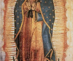 term image