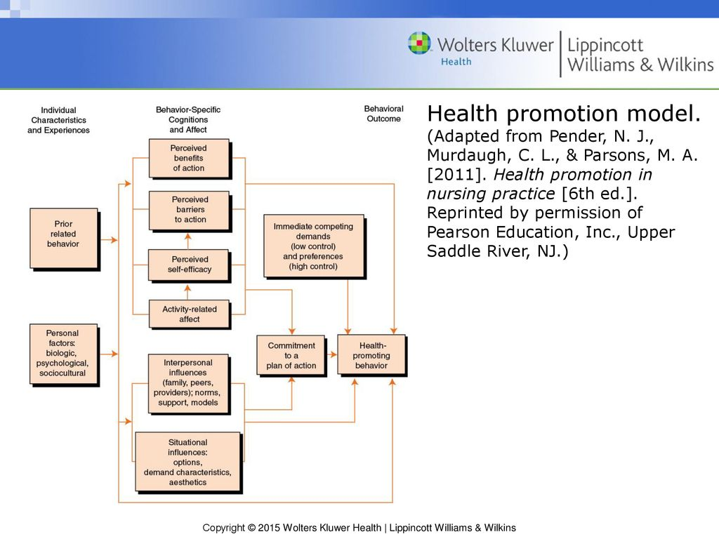 <ul><li><p>developed to illustrate how people interact with their environment as they pursue health </p></li><li><p>pt characteristics, experiences, &amp; behavior-specific knowledge/believes to motivate health-promoting behavior </p></li><li><p>variables: </p><ul><li><p>activity-related affect </p></li><li><p>commitment to a plan of action </p></li><li><p>immediate competing demands &amp; preferences </p></li></ul></li></ul><p></p>