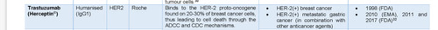 <p>-🔹 Trastuzumab (Herceptin®)</p><p>Type: Humanised monoclonal antibody</p><p>Target: HER2/neu receptors (Human Epidermal Growth Factor Receptor 2)</p><p>Mechanism: Blocks HER2 signalling, preventing tumour growth.</p><p>Use: Breast cancer (HER2-positive</p><p>-Cetuximab (Erbitux®)</p><p>Type: Chimeric monoclonal antibody (part mouse, part human).</p><p>Target: Epidermal Growth Factor Receptor (EGFR)</p><p>Mechanism: Inhibits EGFR signalling, which drives tumour growth.</p><p>Use: KRAS-wild-type colorectal cancer (ineffective in KRAS-mutant cases)</p><p>-Bevacizumab (Avastin®)</p><p>Type: Monoclonal antibody</p><p>Target: Vascular Endothelial Growth Factor (VEGF)</p><p>Mechanism: Blocks angiogenesis (prevents new blood vessel formation).</p><p>Use: Metastatic colorectal cancer (first-line therapy with 5-FU)</p>