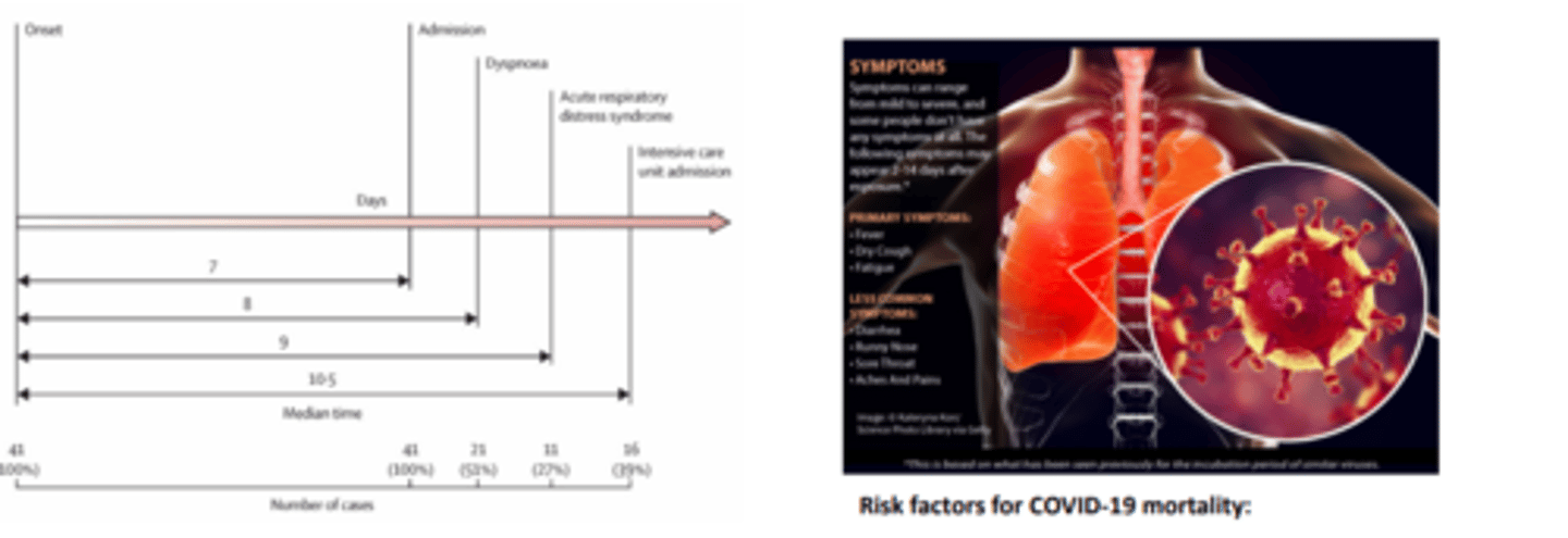 <p>ARDS ( acute respiratory distress syndrome)</p><p>- significant trauma- including viral infection- to lung tissue that induces a dysfunctional inflammatory reaction</p><p>- small blood vessels become leaky, fluid moves into alveoli, oxygenated becomes depleted</p><p>risk factors for COVID-19mortality</p><p>- older age</p><p>-higher sequential organ failure assesment (SOFA) score</p><p>-elevated d-dimer levels</p>