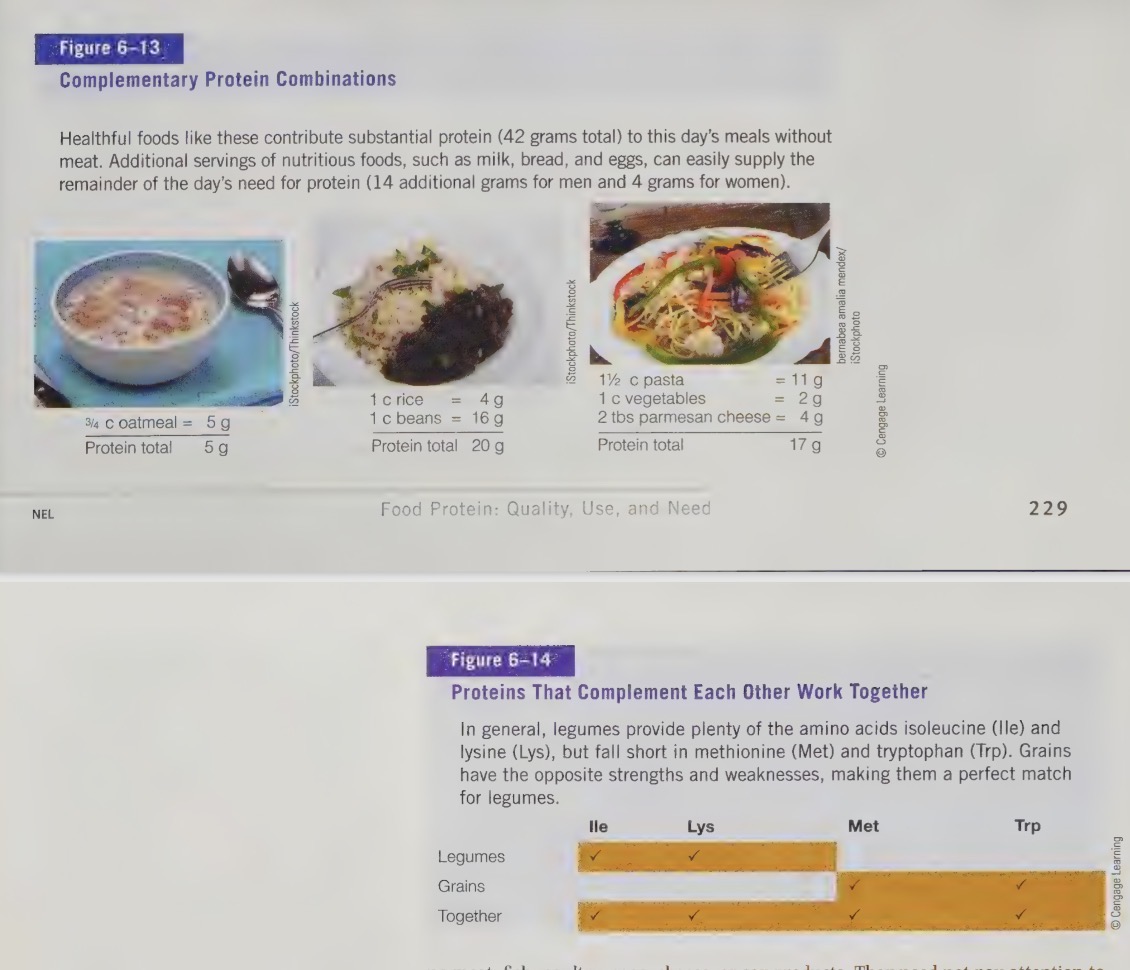 <ul><li><p>person can get all amino acids by eating essential amino acids via meat, fish, poultry, egg, legumes</p></li><li><p>plant diet - eat a variety of different plant foods to maximize amount you get</p></li><li><p>mutually supplement</p></li><li><p>complementary proteins - have all AA needed, don’t need to be consumed in one meal </p></li></ul><p></p>