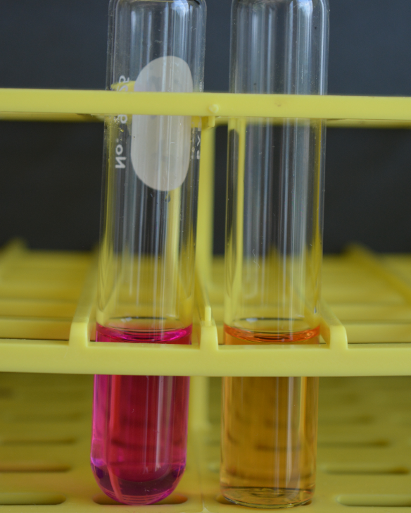 <p>Name this test</p><p>Which side is positive</p><p>Name the bacteria</p><p>Name the indicator</p><p>How do you sterilize this media?</p>