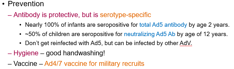 <ul><li><p>Antibody protection <strong>(serotype-specific)</strong></p></li><li><p>Good hygiene and handwashing</p></li><li><p><strong>Vaccine (Ad4/7) for military recruits</strong></p></li></ul><p></p>