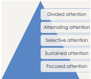 focused, sustained, selective, alternating, divided