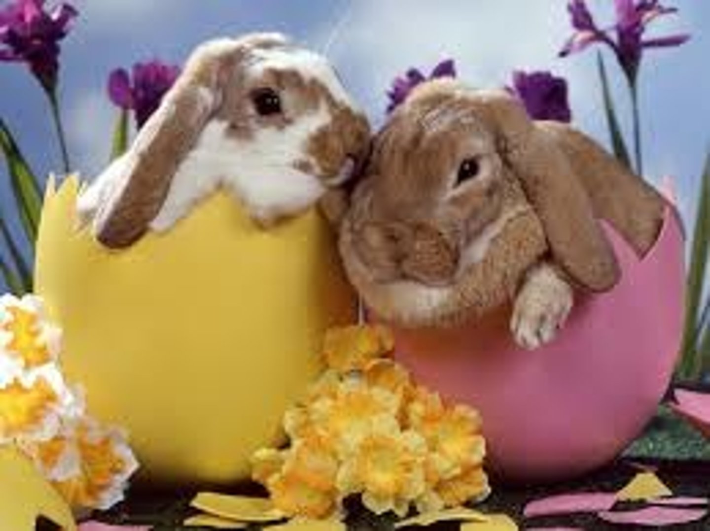 <p>Easter</p>