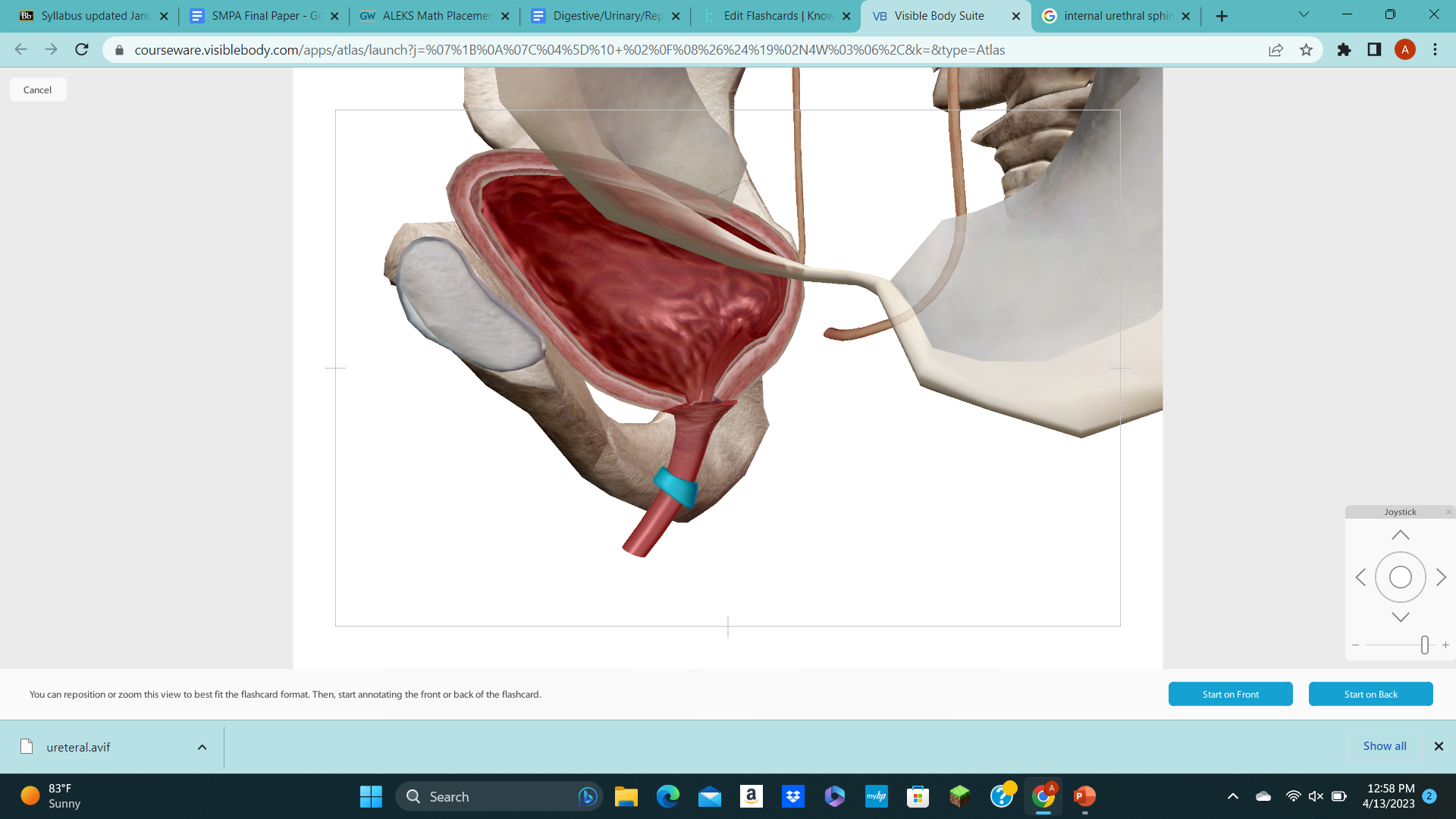 knowt flashcard image