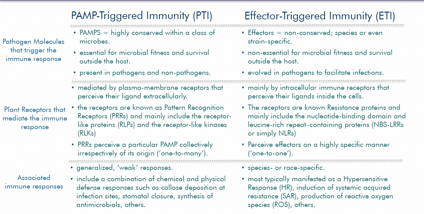 PAMP-triggered immunity vs effector triggered immunity (PTI vs ETI)