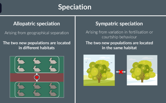 <p>sympatric</p><p>allopatric</p><p>different</p>