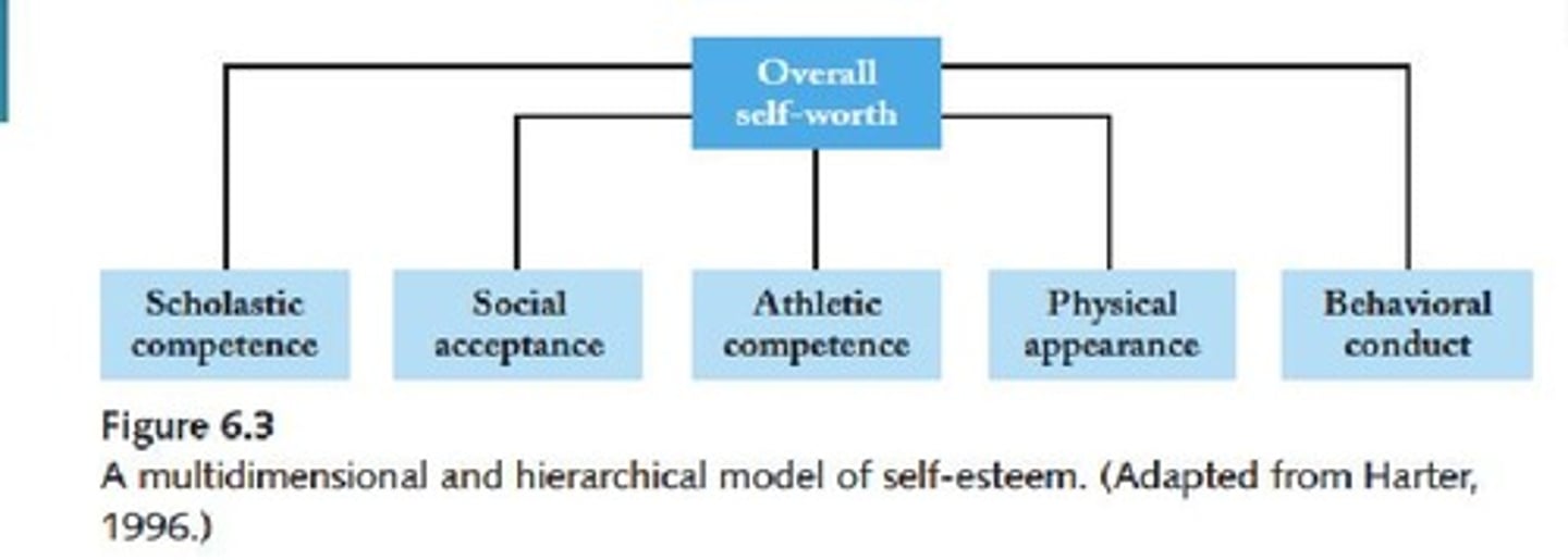 <p>Evaluation of personal worth based on self-concept.</p>