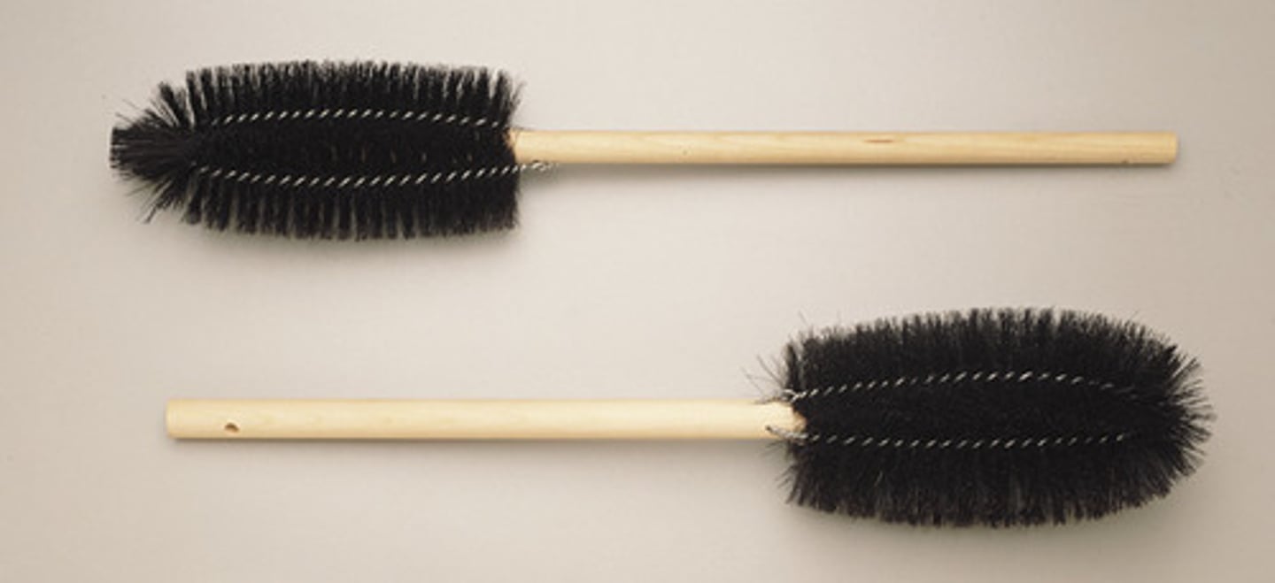 <p>bristles with a wire handle used to scrub glassware</p>