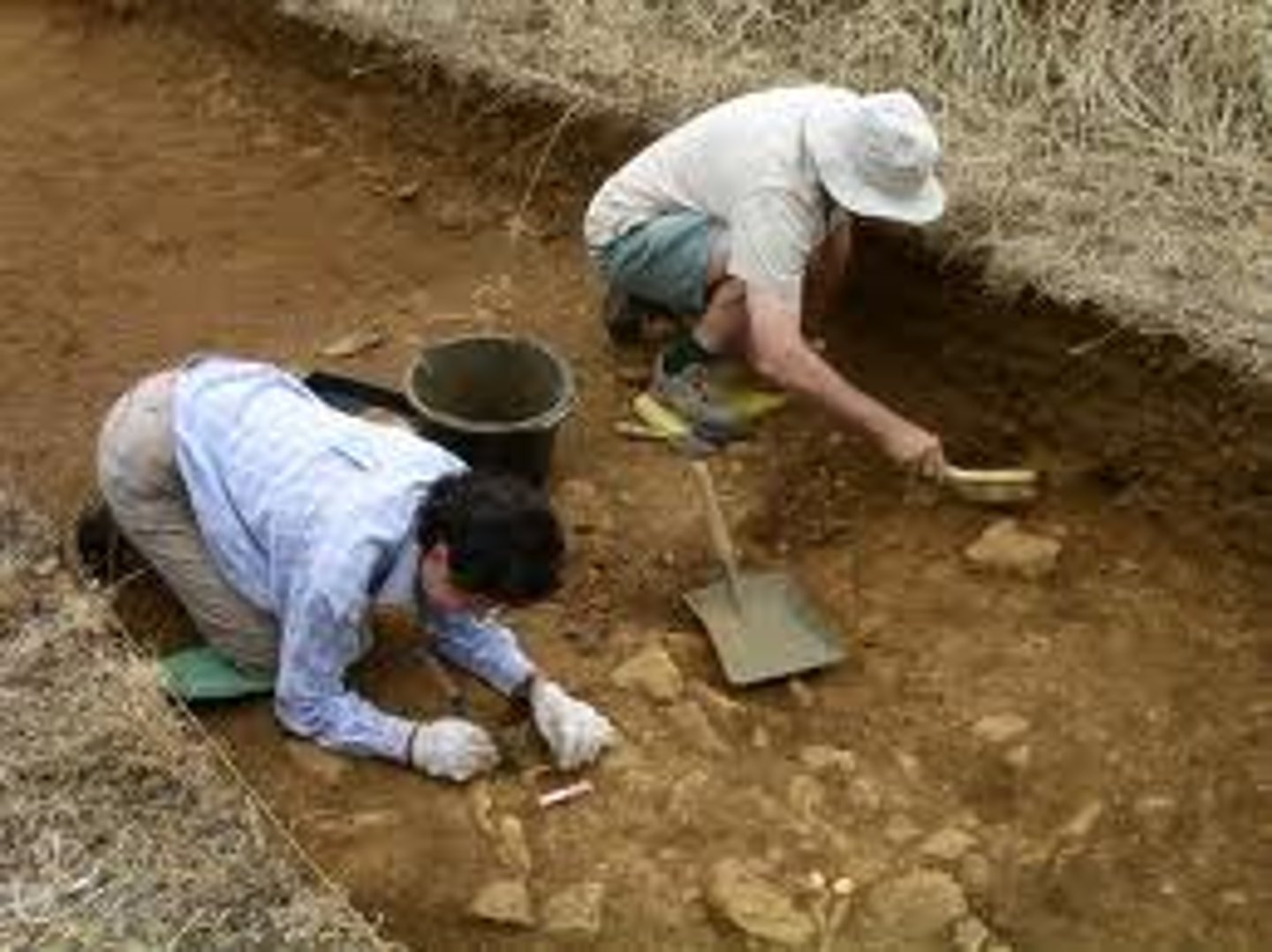 <p>(the) archaeologist (male)</p>