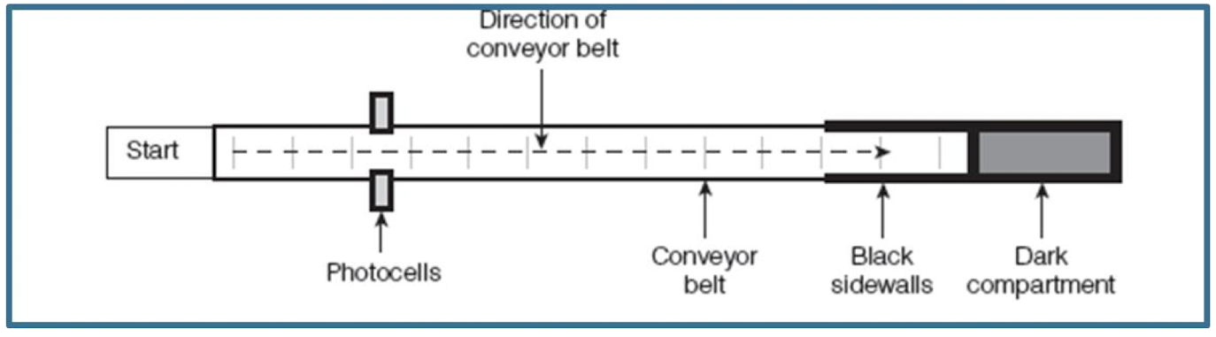 <p>An avoidance conditioning procedure used in animals </p><p>rats are put in 5’ long “alley” box that has a dark compartment at its end </p><p>they are allowed to explore freely and typically settle in the dark compartment </p><p>once they aer settled in the dark component a painful foot shock is given and they run to other end of the alley </p><p>on the first trail, rats waited until they were close to dark component before running to the other end of the alley </p><p>when they passed a motion-detector , the conveyor belt shut off for 3 minutes </p>