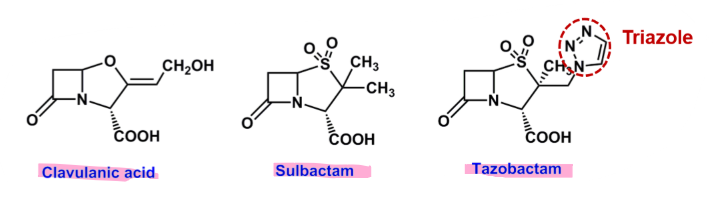 <ul><li><p>clavulanic acid, sulbactam, tazobactam </p></li><li><p>very weak/no antibacterial activity on their own </p></li><li><p><strong>very</strong> high (irreversible) affinity for catalytic side of B-lactamases</p></li><li><p><strong>impairs</strong> the ability of bacteria to hydrolyze penicillins </p><ul><li><p>increases effective drug concentration at infection site </p></li></ul></li></ul>