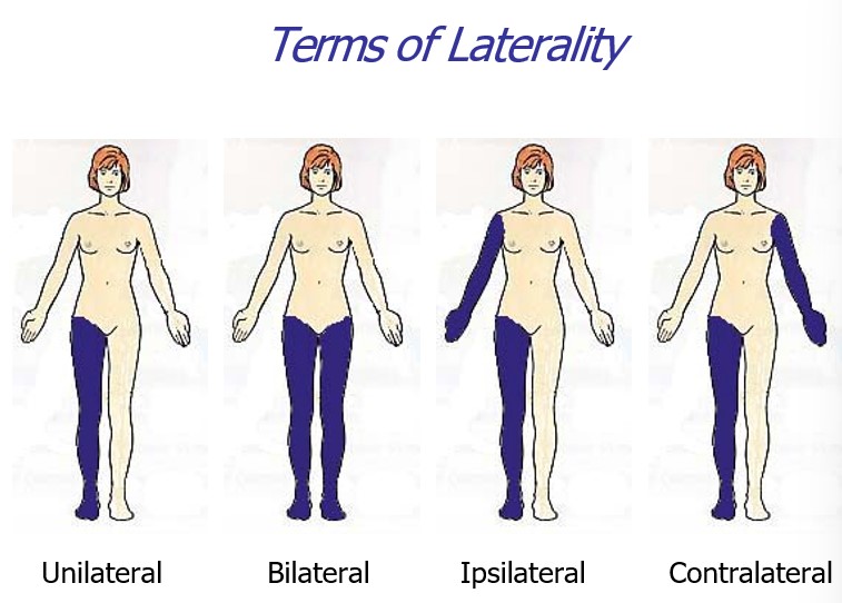 <p>unilateral, bilateral, ispilateral, contralateral</p>