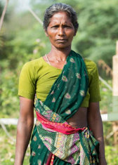 <p>It is a <strong>cropped top </strong>usually worn by India</p>