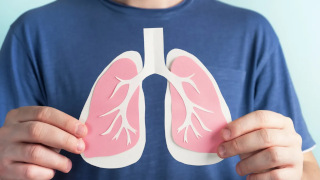 <p>(<em>noun</em>) the two organs in your chest that you use to breathe air</p><p>“Smoking will injure your _______.”</p>