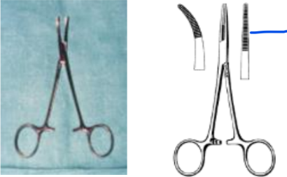 <p>What do these images show?</p>