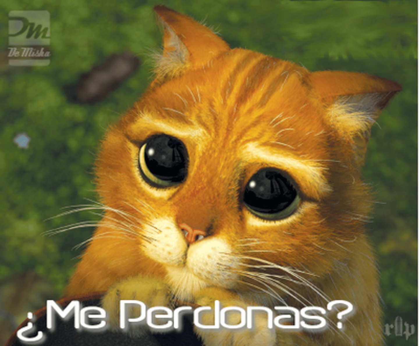 <p>to ask for forgiveness</p>