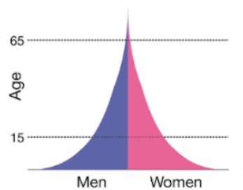 <p>Pre-industrial : High birth and death rate, short life expectancy, slow population growth</p>