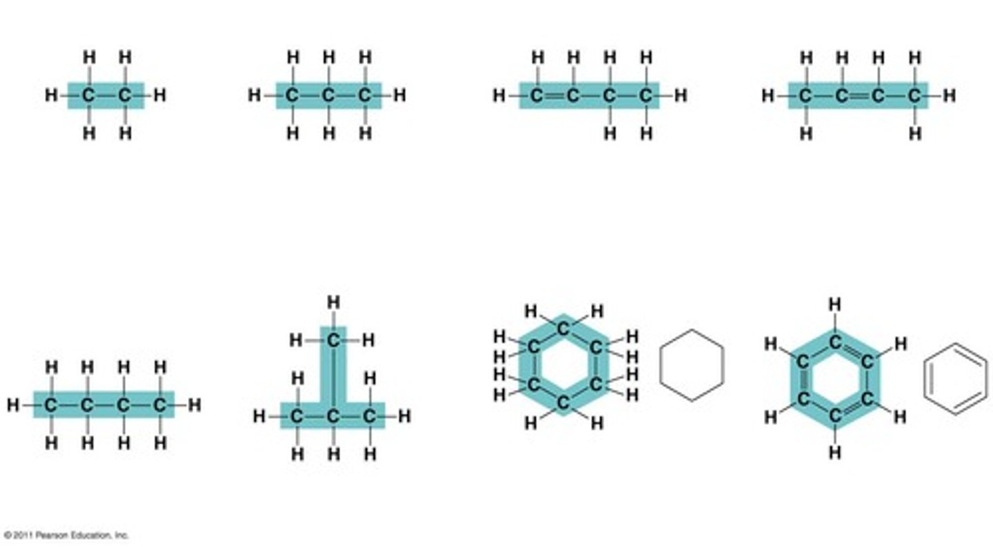 <p>Carbon rings can have various shapes, including those found in compounds like benzene.</p>