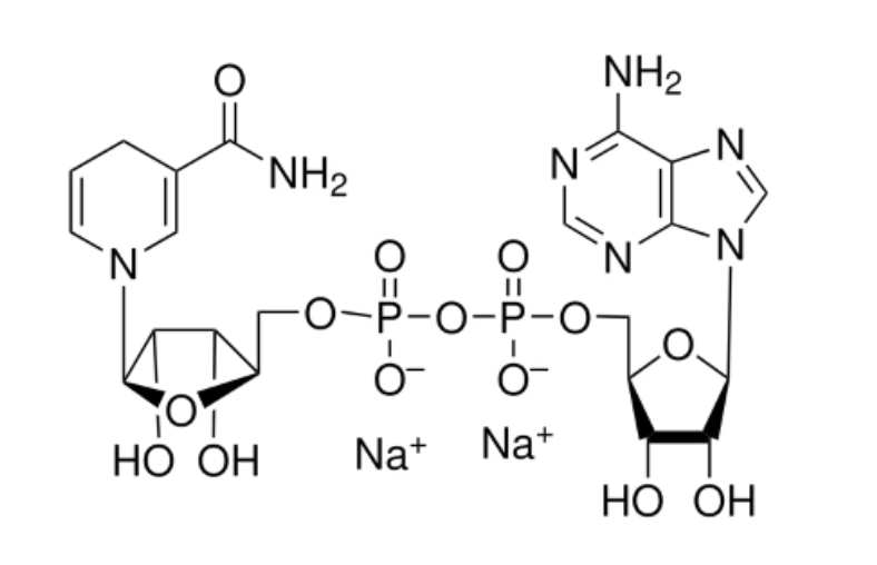 <p>Reduction by 1 electron </p>