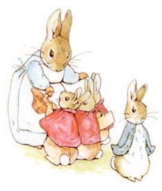 <p>Label the Illustrator</p>
