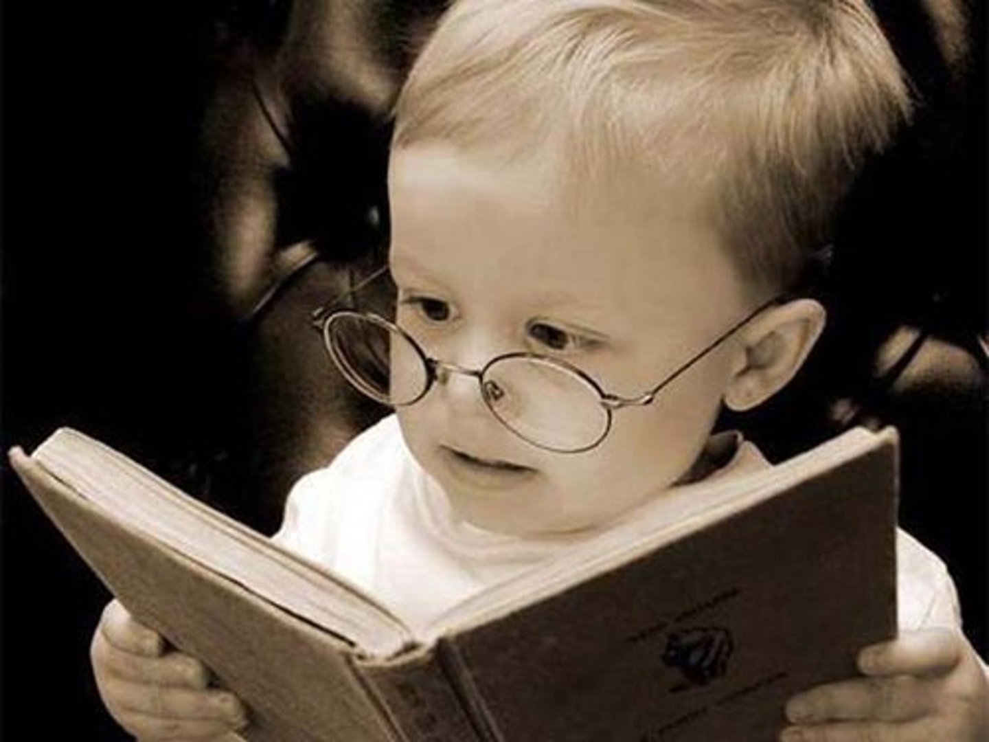<p>knowledge and abilities</p>